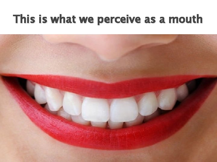 This is what we perceive as a mouth 