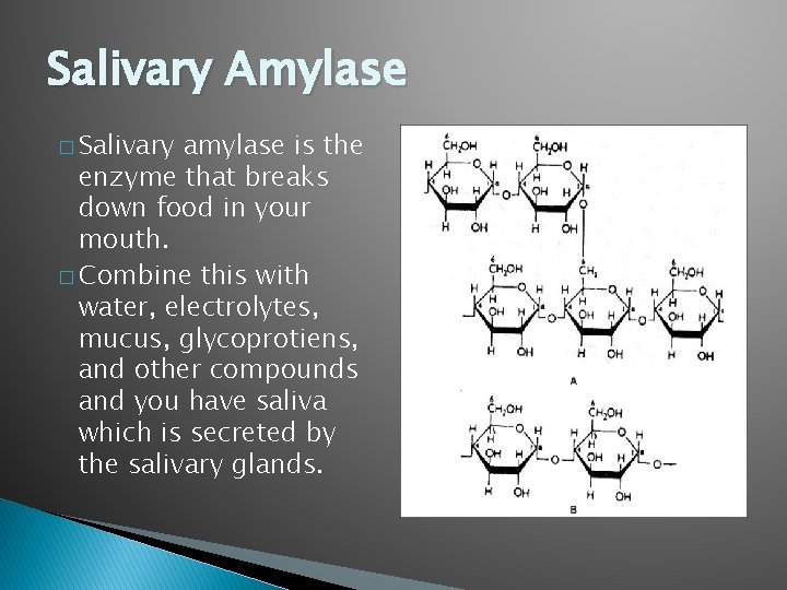 The Oral Cavity By Donovan Taylor Michael Ting
