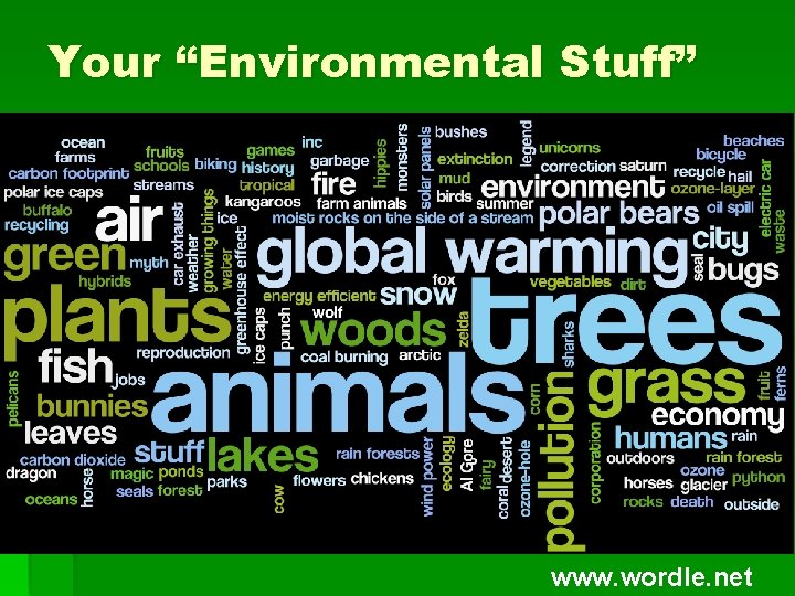 Your “Environmental Stuff” ` www. wordle. net 