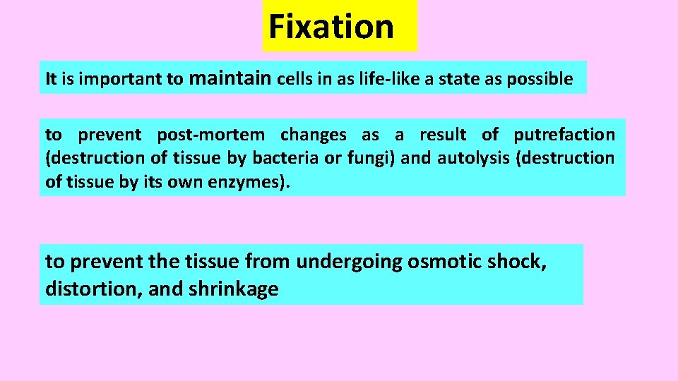 Fixation It is important to maintain cells in as life-like a state as possible Fixation It is important to maintain cells in as life-like a state as possible