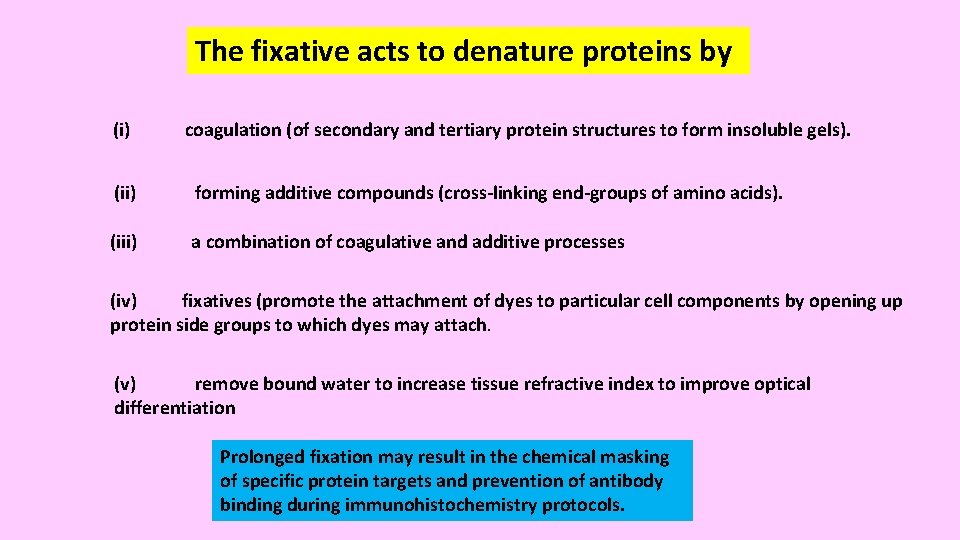 The fixative acts to denature proteins by (i) coagulation (of secondary and tertiary protein The fixative acts to denature proteins by (i) coagulation (of secondary and tertiary protein