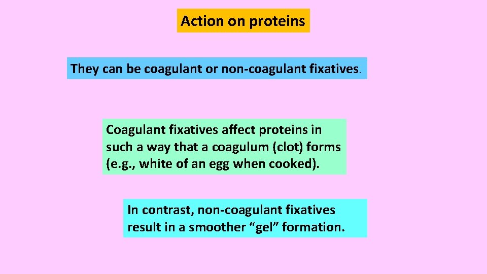 Action on proteins They can be coagulant or non-coagulant fixatives. Coagulant fixatives affect proteins Action on proteins They can be coagulant or non-coagulant fixatives. Coagulant fixatives affect proteins