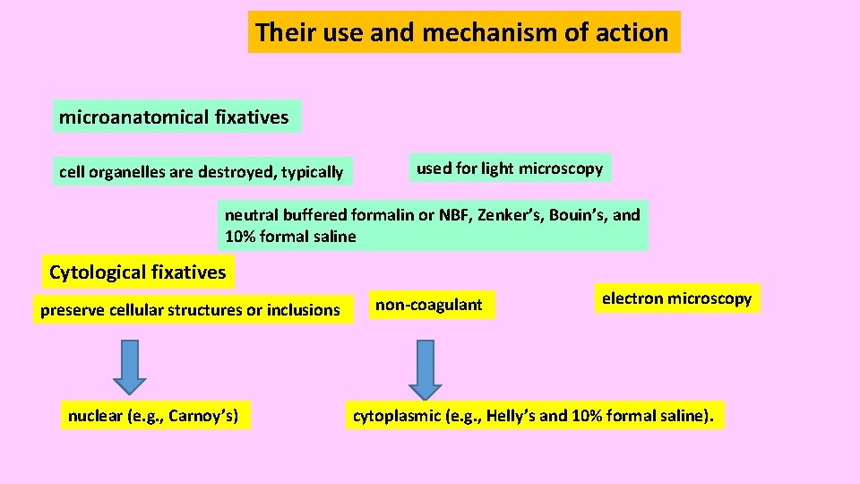 Their use and mechanism of action microanatomical fixatives cell organelles are destroyed, typically used Their use and mechanism of action microanatomical fixatives cell organelles are destroyed, typically used