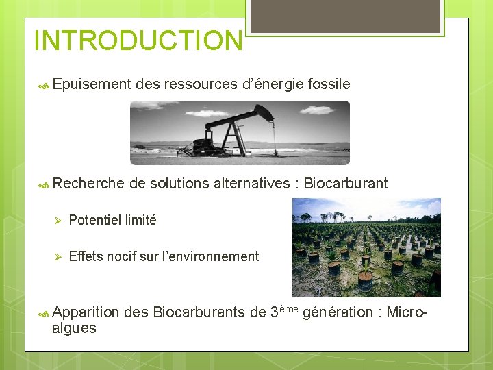 INTRODUCTION Epuisement Recherche des ressources d’énergie fossile de solutions alternatives : Biocarburant Ø Potentiel