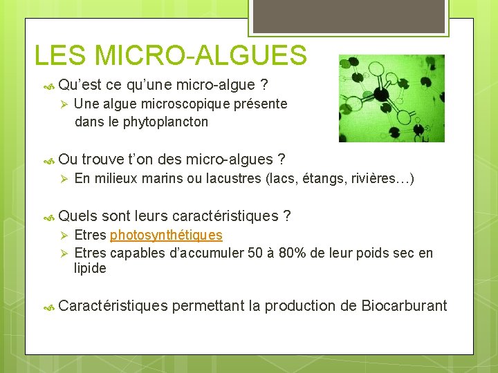 LES MICRO-ALGUES Qu’est Ø Une algue microscopique présente dans le phytoplancton Ou Ø trouve