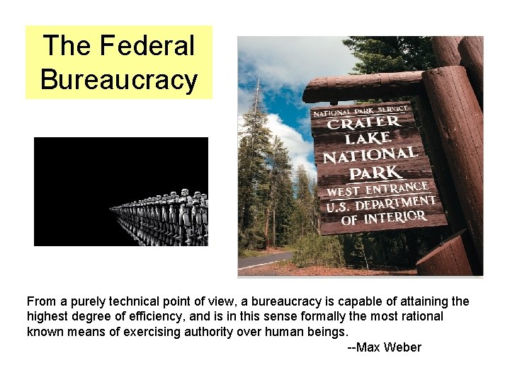 The Federal Bureaucracy From a purely technical point of view, a bureaucracy is capable