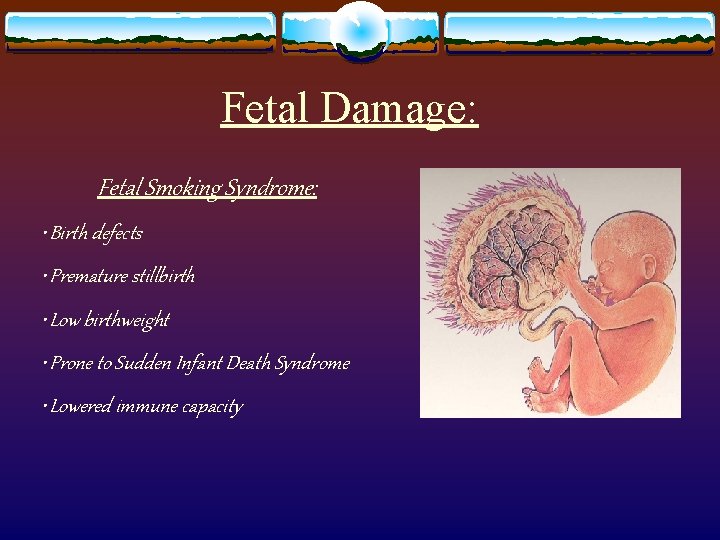 Fetal Damage: Fetal Smoking Syndrome: • Birth defects • Premature stillbirth • Low birthweight