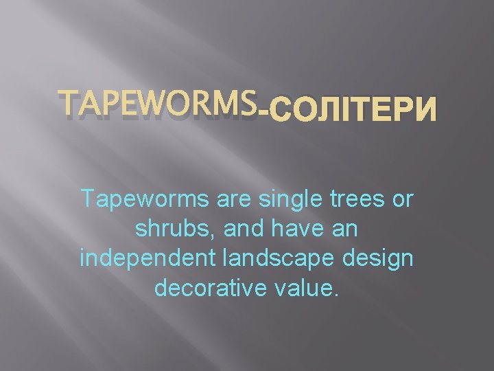 TAPEWORMS-СОЛІТЕРИ Tapeworms are single trees or shrubs, and have an independent landscape design decorative