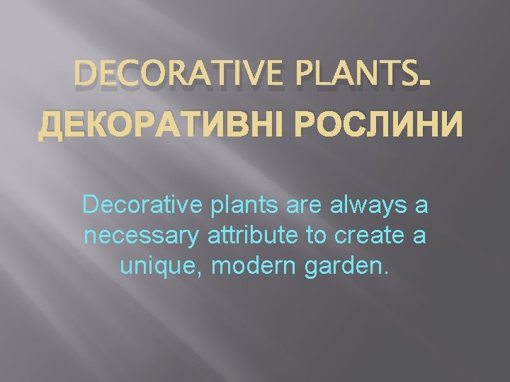 DECORATIVE PLANTSДЕКОРАТИВНІ РОСЛИНИ Decorative plants are always a necessary attribute to create a unique,