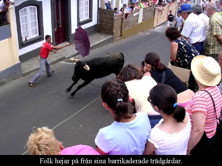 Folk hejar på från sina barrikaderade trädgårdar. 