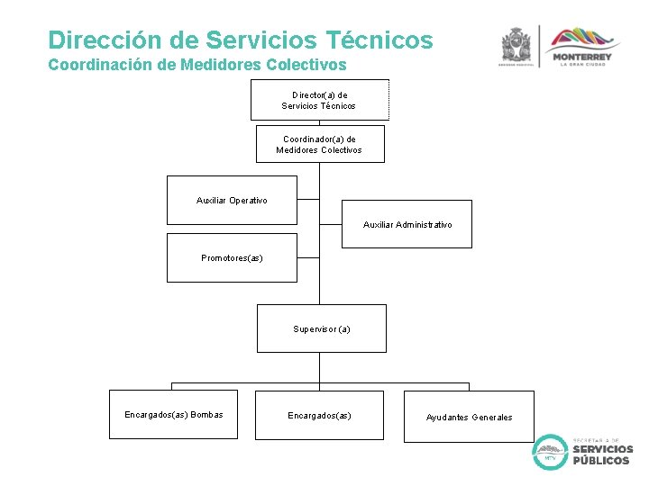 Dirección de Servicios Técnicos Coordinación de Medidores Colectivos Director(a) de Servicios Técnicos Coordinador(a) de