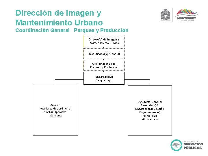 Dirección de Imagen y Mantenimiento Urbano Coordinación General Parques y Producción Director(a) Director dede.