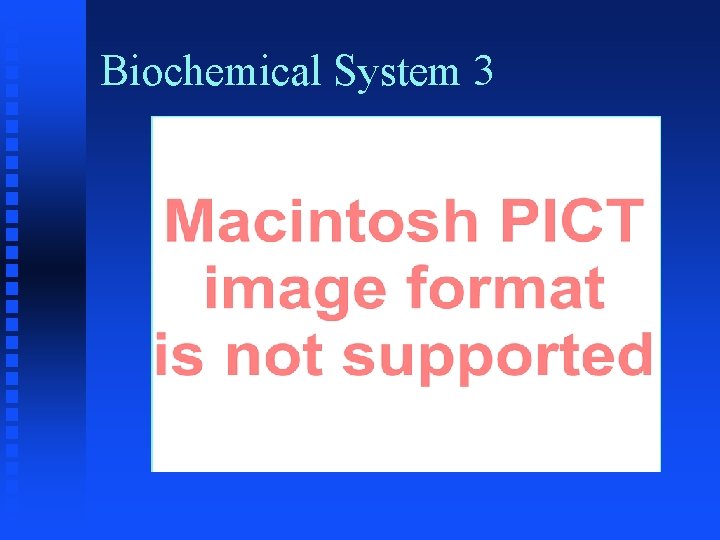 Biochemical System 3 