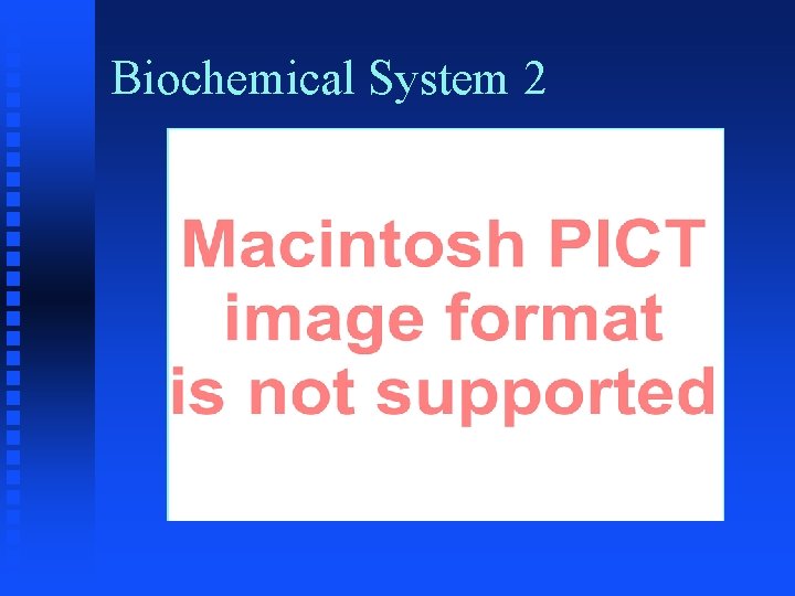Biochemical System 2 