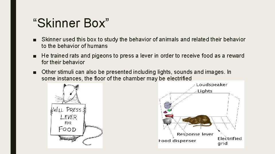 “Skinner Box” ■ Skinner used this box to study the behavior of animals and