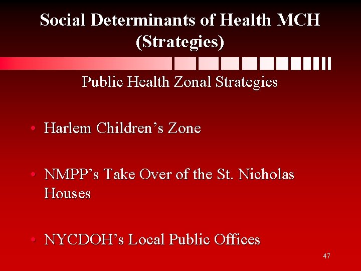 Social Determinants of Health MCH (Strategies) Public Health Zonal Strategies • Harlem Children’s Zone