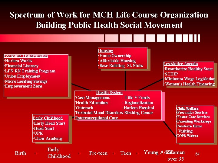 Spectrum of Work for MCH Life Course Organization Building Public Health Social Movement Economic