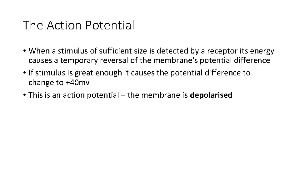 The Action Potential • When a stimulus of sufficient size is detected by a