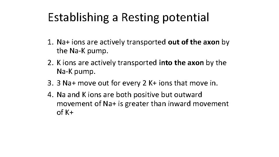 Establishing a Resting potential 1. Na+ ions are actively transported out of the axon