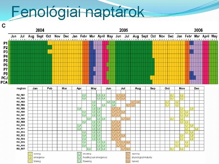 Fenológiai naptárok 