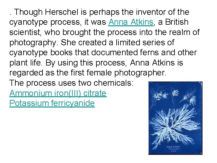 . Though Herschel is perhaps the inventor of the cyanotype process, it was Anna