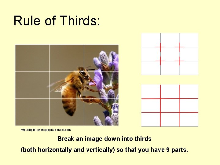 Rule of Thirds: http: //digital-photography-school. com Break an image down into thirds (both horizontally