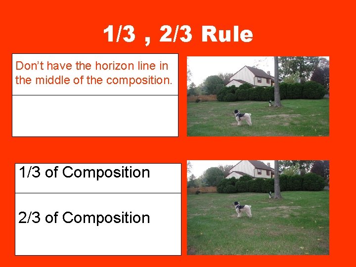 1/3 , 2/3 Rule Don’t have the horizon line in the middle of the
