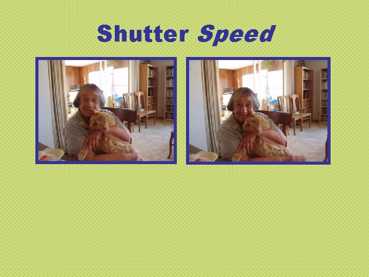 Shutter Speed 