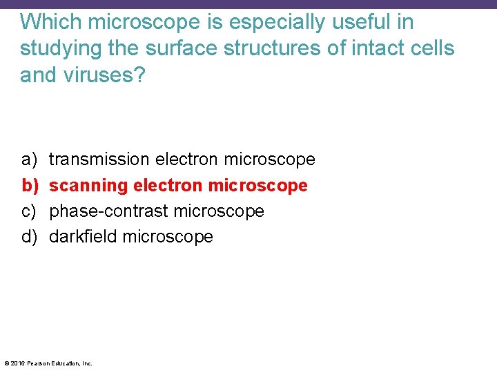 Which microscope is especially useful in studying the surface structures of intact cells and