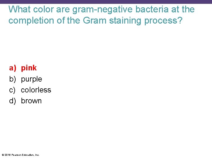 What color are gram-negative bacteria at the completion of the Gram staining process? a)
