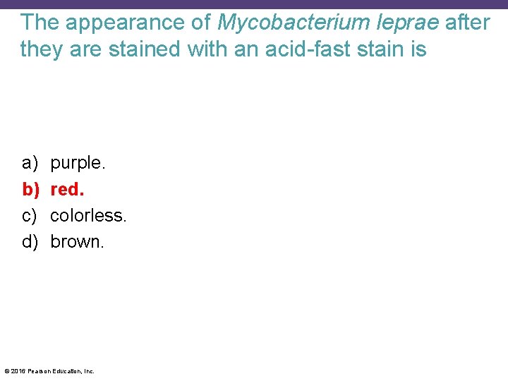 The appearance of Mycobacterium leprae after they are stained with an acid-fast stain is