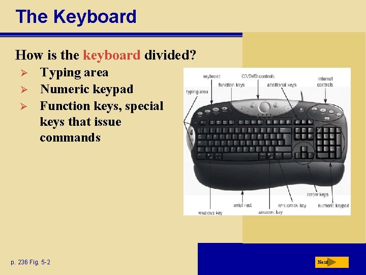 The Keyboard How is the keyboard divided? Ø Ø Ø Typing area Numeric keypad