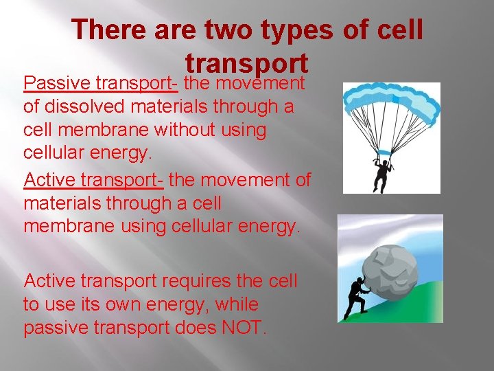 There are two types of cell transport Passive transport- the movement of dissolved materials There are two types of cell transport Passive transport- the movement of dissolved materials