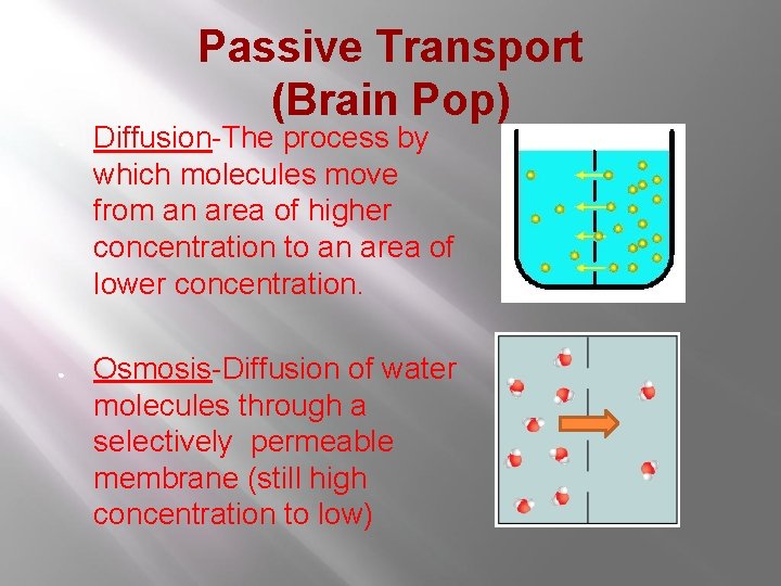 Passive Transport (Brain Pop) ● ● Diffusion-The process by which molecules move from an Passive Transport (Brain Pop) ● ● Diffusion-The process by which molecules move from an