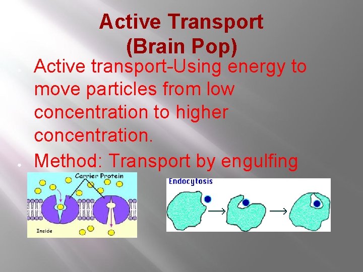 Active Transport (Brain Pop) ● ● Active transport-Using energy to move particles from low Active Transport (Brain Pop) ● ● Active transport-Using energy to move particles from low