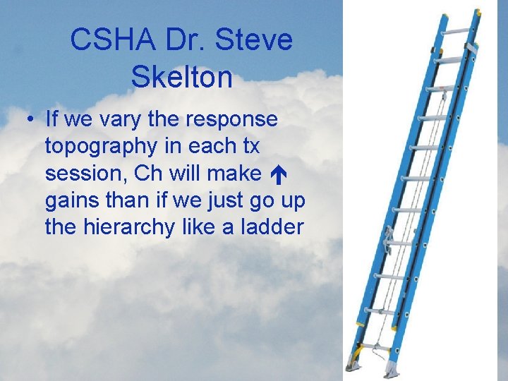 CSHA Dr. Steve Skelton • If we vary the response topography in each tx