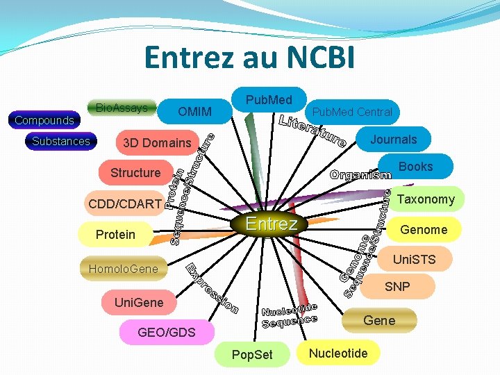 Entrez au NCBI Bio. Assays Compounds Substances OMIM Pub. Med Central Journals 3 D