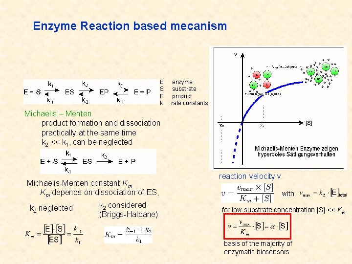 Enzyme Reaction based mecanism E S P k enzyme substrate product rate constants Michaelis