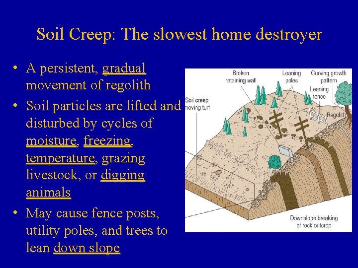 Soil Creep: The slowest home destroyer • A persistent, gradual movement of regolith •