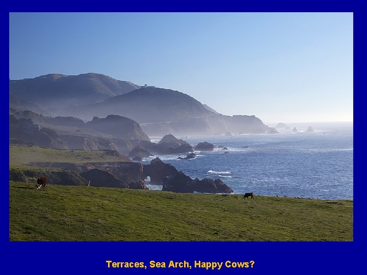 Terraces, Sea Arch, Happy Cows? 