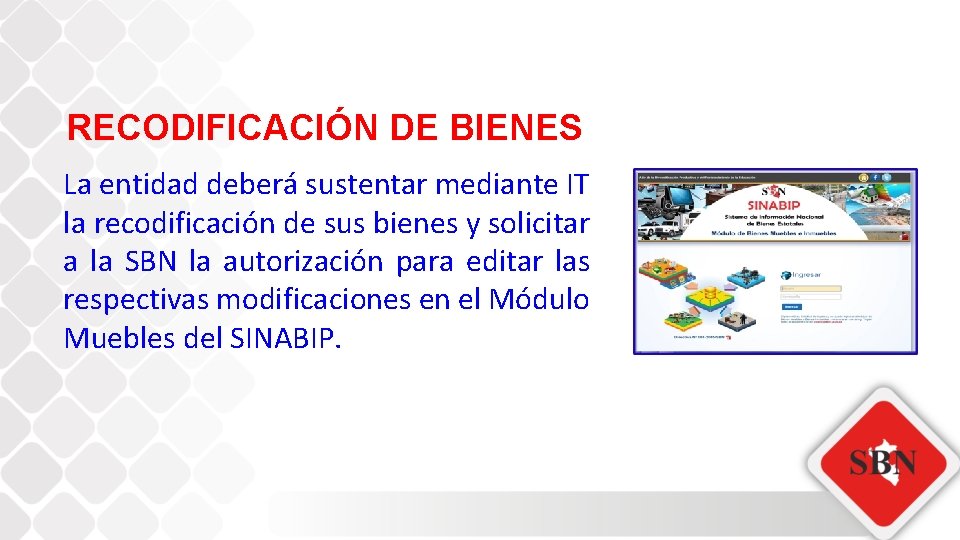 RECODIFICACIÓN DE BIENES La entidad deberá sustentar mediante IT la recodificación de sus bienes