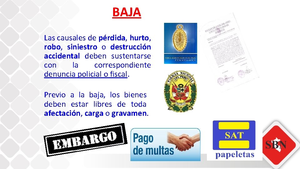 BAJA Las causales de pérdida, hurto, robo, siniestro o destrucción accidental deben sustentarse con