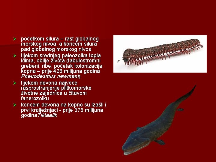 početkom silura – rast globalnog morskog nivoa, a koncem silura pad globalnog morskog nivoa