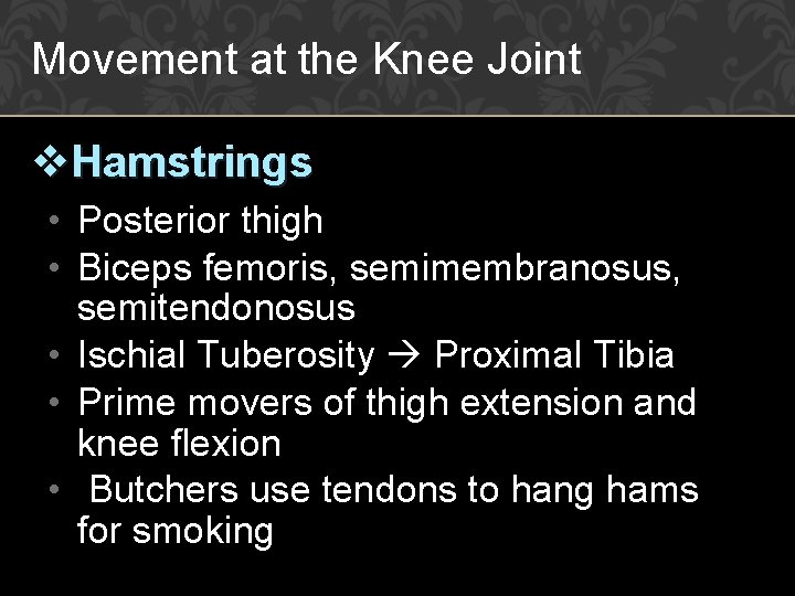 Movement at the Knee Joint v. Hamstrings • Posterior thigh • Biceps femoris, semimembranosus,