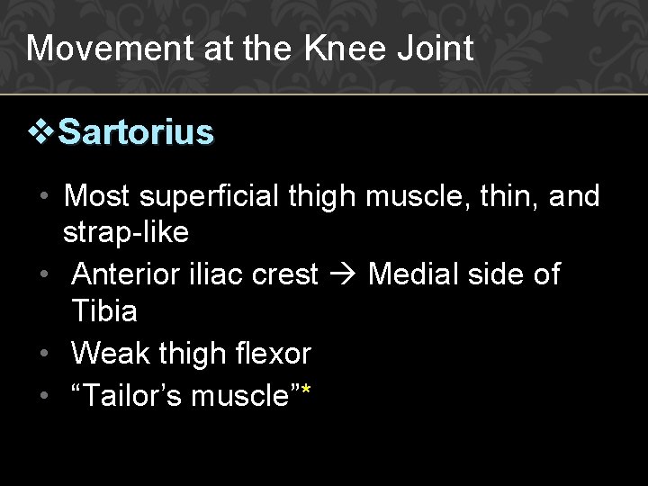 Movement at the Knee Joint v. Sartorius • Most superficial thigh muscle, thin, and