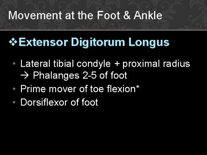 Movement at the Foot & Ankle v. Extensor Digitorum Longus • Lateral tibial condyle