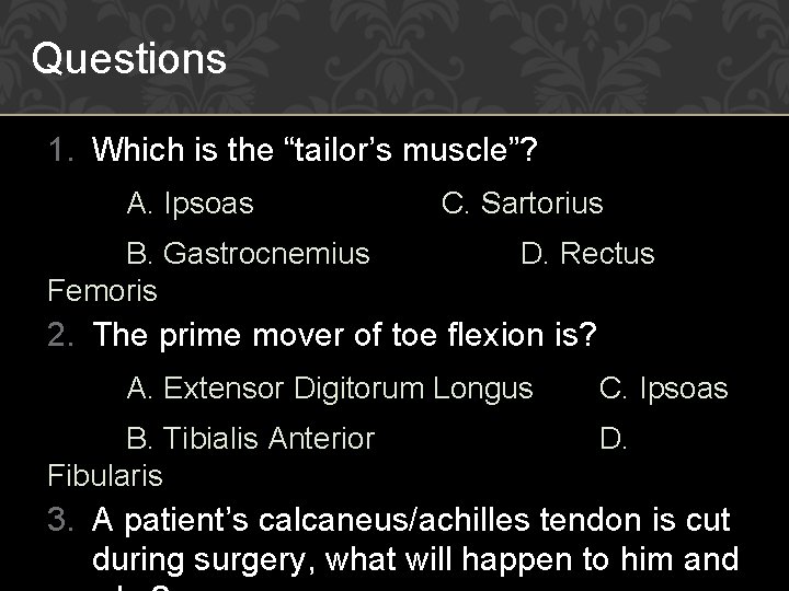 Questions 1. Which is the “tailor’s muscle”? A. Ipsoas B. Gastrocnemius Femoris C. Sartorius