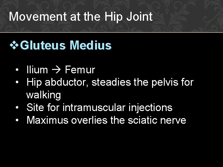 Movement at the Hip Joint v. Gluteus Medius • Ilium Femur • Hip abductor,