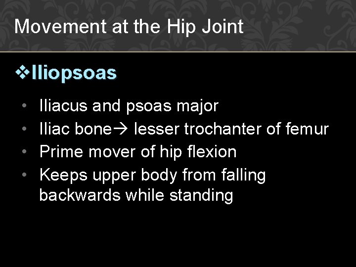 Movement at the Hip Joint v. Iliopsoas • • Iliacus and psoas major Iliac