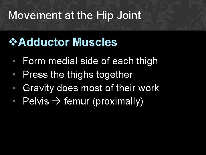 Movement at the Hip Joint v. Adductor Muscles • • Form medial side of